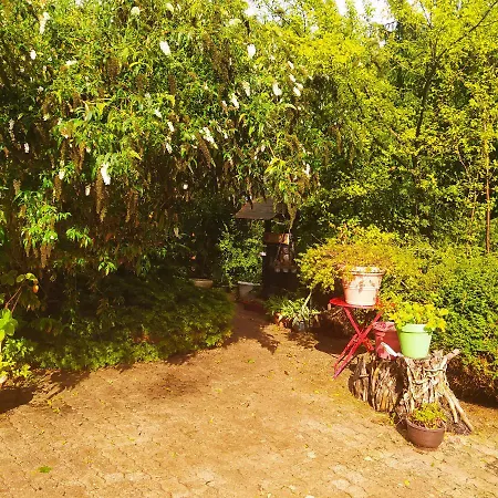 Lüks kamp alanı Cerise Dans L'arbre Etapeboisee