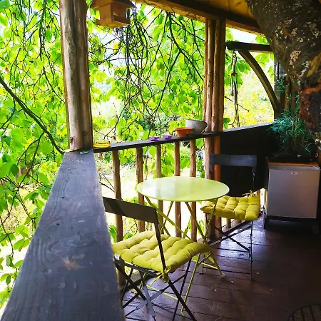 Cerise Dans L'arbre Etapeboisee Luxury tent