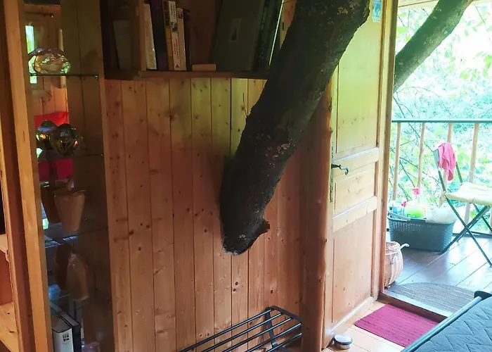 Luxusní stan Cerise Dans L'arbre Etapeboisee *